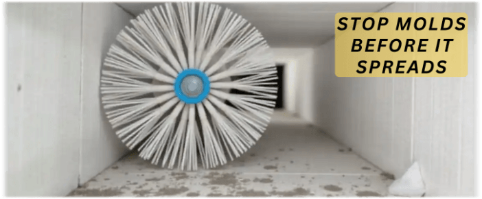 Air Duct Mold Removal in Waldorf MD