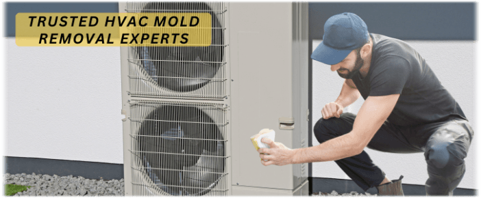 HVAC Mold Removal Waldorf MD